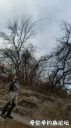 Filename=attachID_18212_postID_172419_image.jpeg
Filesize=125KiB
Dimensions=562x1000
Date added=Dec 02, 2016 attachID_18212_postID_172419_image.jpeg