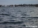 attachID_18243_postID_172645_10.jpg