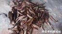 attachID_18616_postID_175206_image.jpeg