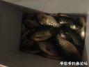 attachID_18646_postID_175383_image.jpeg