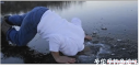 attachID_18737_postID_176059_intellifishfinder.png