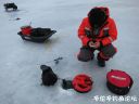 attachID_18739_postID_176100_1.jpg