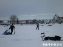 Filename=attachID_18782_postID_176586_10.jpg
Filesize=49KiB
Dimensions=1000x750
Date added=Dec 02, 2016 attachID_18782_postID_176586_10.jpg