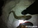 Filename=attachID_18816_postID_176781_image.jpg
Filesize=59KiB
Dimensions=1000x746
Date added=Dec 02, 2016 attachID_18816_postID_176781_image.jpg