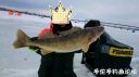 Filename=attachID_18842_postID_176896_20160124_174702.jpg
Filesize=57KiB
Dimensions=1000x562
Date added=Dec 02, 2016 attachID_18842_postID_176896_20160124_174702.jpg