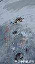 Filename=attachID_18859_postID_177103_image.jpeg
Filesize=62KiB
Dimensions=562x1000
Date added=Dec 02, 2016 attachID_18859_postID_177103_image.jpeg