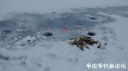 Filename=attachID_18861_postID_177250_373482938933131001.jpg
Filesize=52KiB
Dimensions=1000x562
Date added=Dec 02, 2016 attachID_18861_postID_177250_373482938933131001.jpg