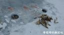 Filename=attachID_18863_postID_177250_699046458520987989.jpg
Filesize=53KiB
Dimensions=1000x562
Date added=Dec 02, 2016 attachID_18863_postID_177250_699046458520987989.jpg