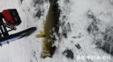 attachID_18930_postID_177614_20160130_152429.jpg
