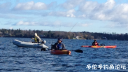 Filename=attachID_18960_postID_177783_image.png
Filesize=684KiB
Dimensions=1000x563
Date added=Dec 02, 2016 attachID_18960_postID_177783_image.png