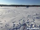 Filename=attachID_19163_postID_179472_image.jpeg
Filesize=129KiB
Dimensions=1000x750
Date added=Dec 02, 2016 attachID_19163_postID_179472_image.jpeg