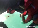 Filename=attachID_19362_postID_180782_yang03.jpg
Filesize=63KiB
Dimensions=1000x746
Date added=Dec 02, 2016 attachID_19362_postID_180782_yang03.jpg