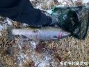 Filename=attachID_19547_postID_182073_IMG_20160226_174322.jpg
Filesize=161KiB
Dimensions=1000x750
Date added=Dec 02, 2016 attachID_19547_postID_182073_IMG_20160226_174322.jpg
