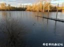 Filename=attachID_19593_postID_182400_4.jpg
Filesize=98KiB
Dimensions=979x734
Date added=Dec 02, 2016 attachID_19593_postID_182400_4.jpg