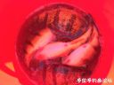 attachID_19599_postID_182458_image.jpeg