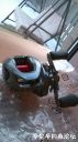 Filename=attachID_19620_postID_182713_WP_20160305_007.jpg
Filesize=70KiB
Dimensions=561x1000
Date added=Dec 02, 2016 attachID_19620_postID_182713_WP_20160305_007.jpg