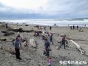 Filename=attachID_19632_postID_182741_5.jpg
Filesize=125KiB
Dimensions=1000x750
Date added=Dec 02, 2016 attachID_19632_postID_182741_5.jpg