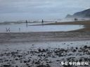 Filename=attachID_19641_postID_182741_14.jpg
Filesize=96KiB
Dimensions=1000x750
Date added=Dec 02, 2016 attachID_19641_postID_182741_14.jpg