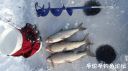 Filename=attachID_19666_postID_182865_20160306_163825.jpg
Filesize=85KiB
Dimensions=1000x562
Date added=Dec 02, 2016 attachID_19666_postID_182865_20160306_163825.jpg