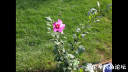 Filename=attachID_19731_postID_183535_image.png
Filesize=913KiB
Dimensions=1000x563
Date added=Dec 02, 2016 attachID_19731_postID_183535_image.png