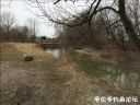 Filename=attachID_19779_postID_183926__00f.jpg
Filesize=152KiB
Dimensions=1000x750
Date added=Dec 02, 2016 attachID_19779_postID_183926__00f.jpg