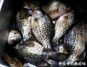 Filename=attachID_20048_postID_186474__00f.jpg
Filesize=143KiB
Dimensions=1000x772
Date added=Dec 02, 2016 attachID_20048_postID_186474__00f.jpg