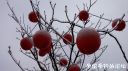 Filename=attachID_20116_postID_186800_20160325_152222.jpg
Filesize=84KiB
Dimensions=1000x562
Date added=Dec 02, 2016 attachID_20116_postID_186800_20160325_152222.jpg