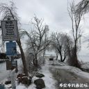 Filename=attachID_20126_postID_186982_11.jpg
Filesize=193KiB
Dimensions=979x979
Date added=Dec 02, 2016 attachID_20126_postID_186982_11.jpg