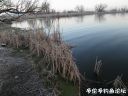 Filename=attachID_20141_postID_187161_1.jpg
Filesize=128KiB
Dimensions=1000x750
Date added=Dec 02, 2016 attachID_20141_postID_187161_1.jpg