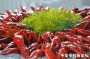 Filename=attachID_20186_postID_187471_crayfish-2.jpg
Filesize=101KiB
Dimensions=1000x669
Date added=Dec 02, 2016 attachID_20186_postID_187471_crayfish-2.jpg