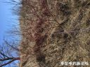 Filename=attachID_20192_postID_187493_image.jpeg
Filesize=287KiB
Dimensions=1000x750
Date added=Dec 02, 2016 attachID_20192_postID_187493_image.jpeg