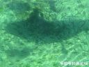 Filename=attachID_20298_postID_188523_pochi_duo.jpg
Filesize=94KiB
Dimensions=1000x750
Date added=Dec 02, 2016 attachID_20298_postID_188523_pochi_duo.jpg