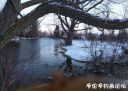 Filename=attachID_20389_postID_189617__00a.jpg
Filesize=141KiB
Dimensions=1000x715
Date added=Dec 02, 2016 attachID_20389_postID_189617__00a.jpg