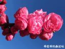 Filename=attachID_20392_postID_189633_image.jpeg
Filesize=71KiB
Dimensions=1000x750
Date added=Dec 02, 2016 attachID_20392_postID_189633_image.jpeg