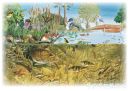 Filename=attachID_20422_postID_189869_baitfish.jpg
Filesize=136KiB
Dimensions=1000x711
Date added=Dec 02, 2016 attachID_20422_postID_189869_baitfish.jpg