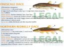 Filename=attachID_20437_postID_189903_baitfish13.jpg
Filesize=124KiB
Dimensions=1000x749
Date added=Dec 02, 2016 attachID_20437_postID_189903_baitfish13.jpg