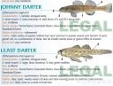 Filename=attachID_20462_postID_189903_baitfish38.jpg
Filesize=131KiB
Dimensions=1000x761
Date added=Dec 02, 2016 attachID_20462_postID_189903_baitfish38.jpg