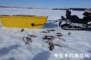 Filename=attachID_20497_postID_190185_image.jpg
Filesize=58KiB
Dimensions=800x534
Date added=Dec 02, 2016 attachID_20497_postID_190185_image.jpg