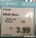 attachID_20515_postID_190226_whiteBass1.jpg