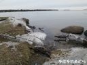 Filename=attachID_20531_postID_190413_5.jpg
Filesize=113KiB
Dimensions=1000x750
Date added=Dec 02, 2016 attachID_20531_postID_190413_5.jpg