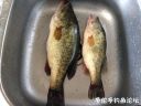 Filename=attachID_20585_postID_190926_image.jpeg
Filesize=112KiB
Dimensions=1000x750
Date added=Dec 02, 2016 attachID_20585_postID_190926_image.jpeg
