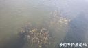 attachID_20596_postID_191013_20160413_093030.jpg