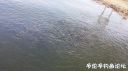 Filename=attachID_20599_postID_191013_20160413_093135.jpg
Filesize=95KiB
Dimensions=1000x562
Date added=Dec 02, 2016 attachID_20599_postID_191013_20160413_093135.jpg