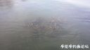 Filename=attachID_20600_postID_191013_20160413_093004.jpg
Filesize=52KiB
Dimensions=1000x562
Date added=Dec 02, 2016 attachID_20600_postID_191013_20160413_093004.jpg