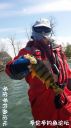 Filename=attachID_20606_postID_191010_yinyang1.jpg
Filesize=80KiB
Dimensions=562x1000
Date added=Dec 02, 2016 attachID_20606_postID_191010_yinyang1.jpg