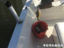 Filename=attachID_20612_postID_191022_april_13_5.jpg
Filesize=53KiB
Dimensions=1000x750
Date added=Dec 02, 2016 attachID_20612_postID_191022_april_13_5.jpg