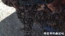 Filename=attachID_20656_postID_191416_20160416_110200.jpg
Filesize=100KiB
Dimensions=1000x562
Date added=Dec 02, 2016 attachID_20656_postID_191416_20160416_110200.jpg
