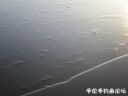 Filename=attachID_20666_postID_191459_3.jpg
Filesize=53KiB
Dimensions=1000x750
Date added=Dec 02, 2016 attachID_20666_postID_191459_3.jpg