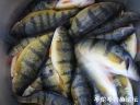Filename=attachID_20677_postID_191459_14.jpg
Filesize=98KiB
Dimensions=1000x750
Date added=Dec 02, 2016 attachID_20677_postID_191459_14.jpg