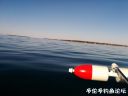 Filename=attachID_20685_postID_191494_IMG_20160416_180036.jpg
Filesize=54KiB
Dimensions=1000x750
Date added=Dec 02, 2016 attachID_20685_postID_191494_IMG_20160416_180036.jpg
